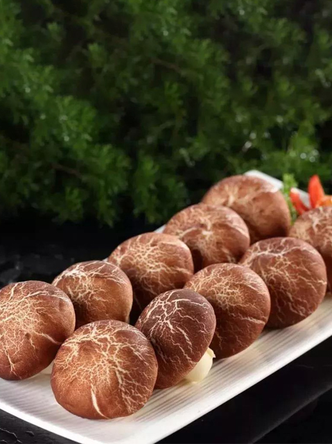 MUSHROOMS