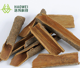 DRIED CORTEX CINNAMON