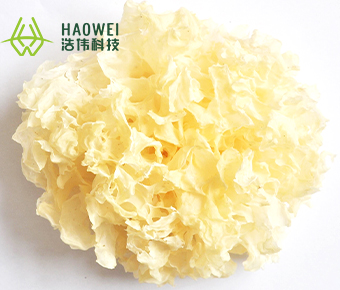 Whole white flower tremella