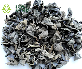 Black fungus