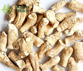 Mushroom stems