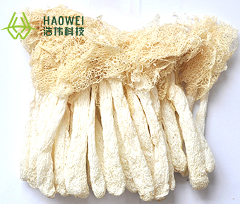 Dried bamboo fungus
