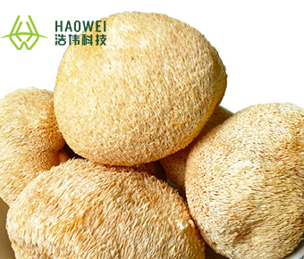 Dried hericium erinaceus