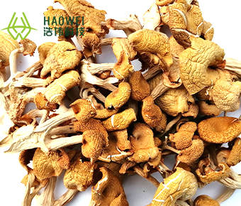 Dried chantarelle