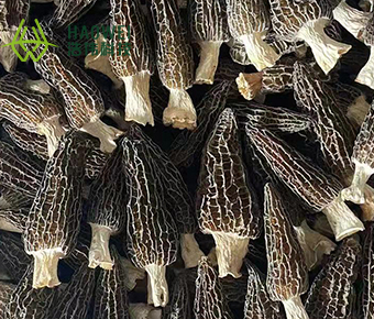Dried morels